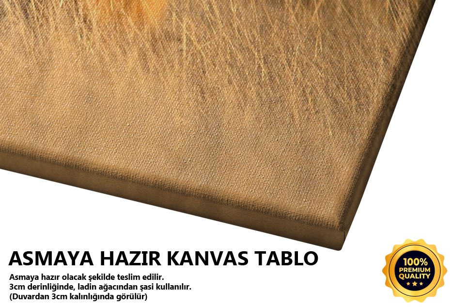 Kral Tablo