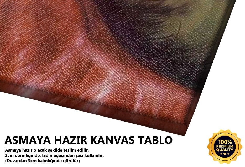 İki At , 2009 Tablo