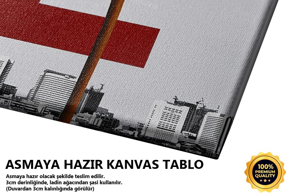 Kırmızı Çiçek Tablo