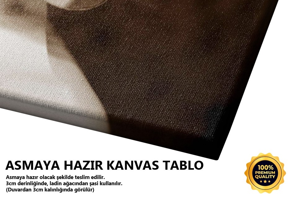 Özlemek -2007 Tablo