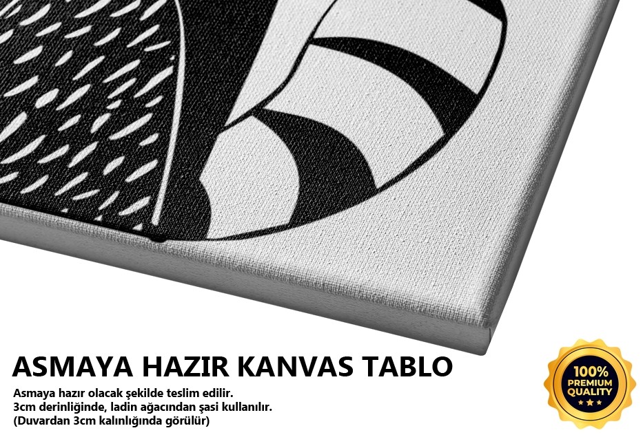 Rakun Siyah Beyaz Tablo