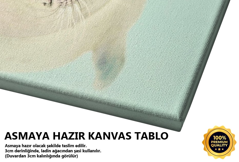 Fok 1 Tablo