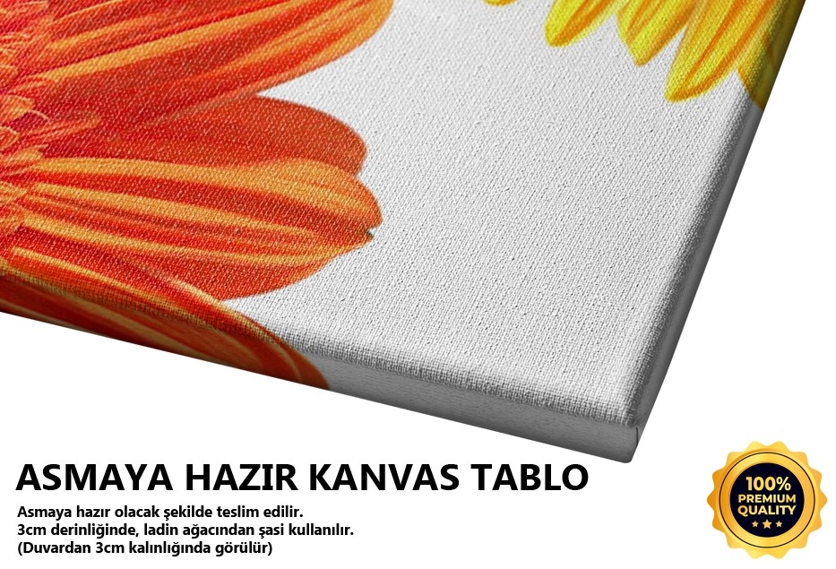Gerbera Tablo