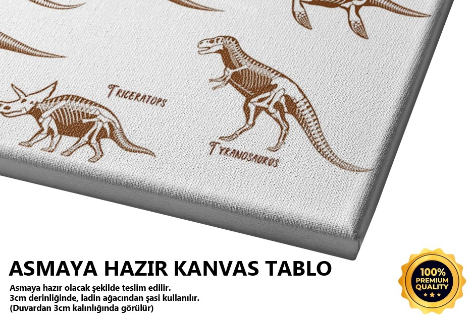 Dinozor Türleri Tablo