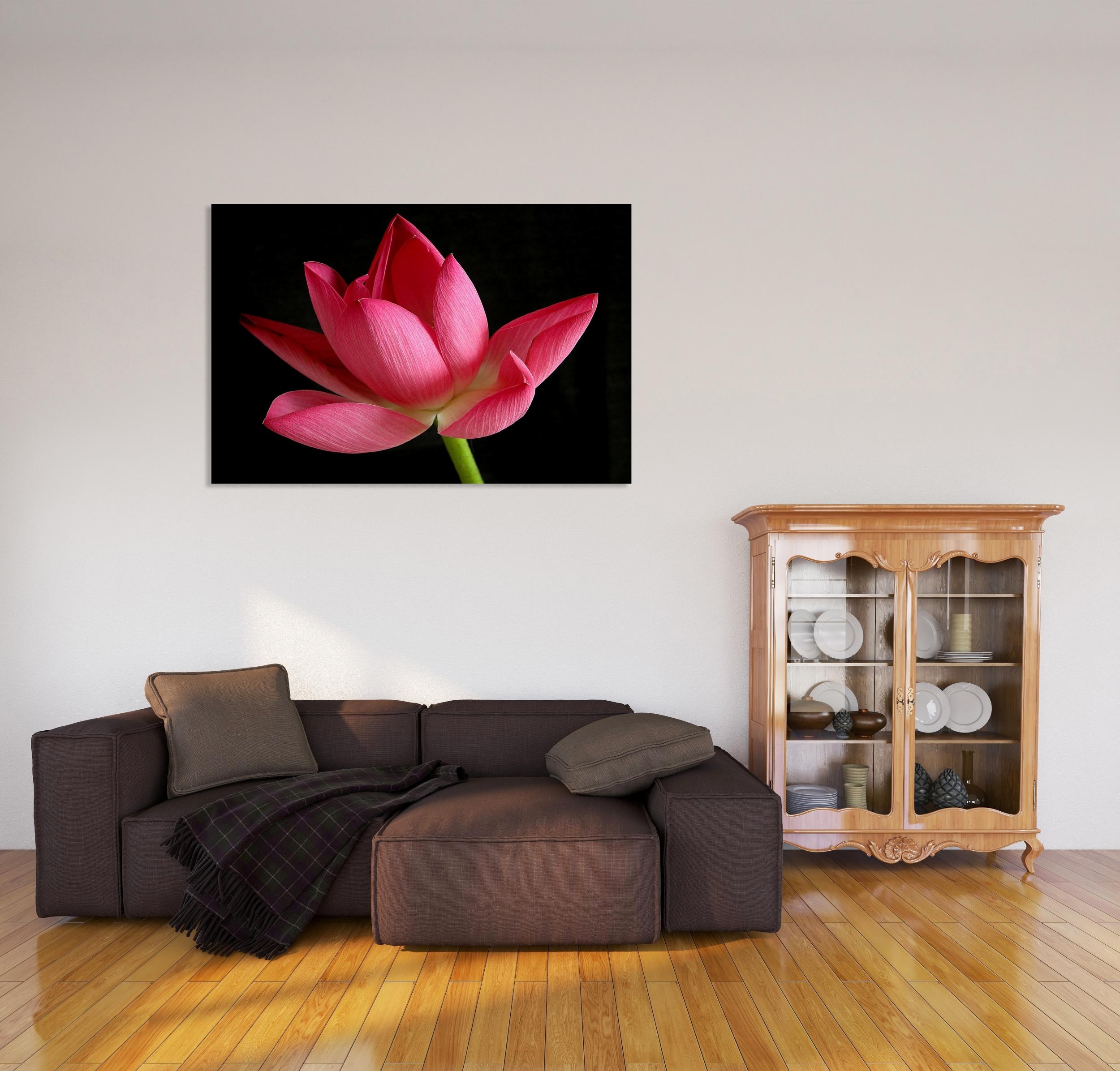 Lotus Çiçeği Tablo