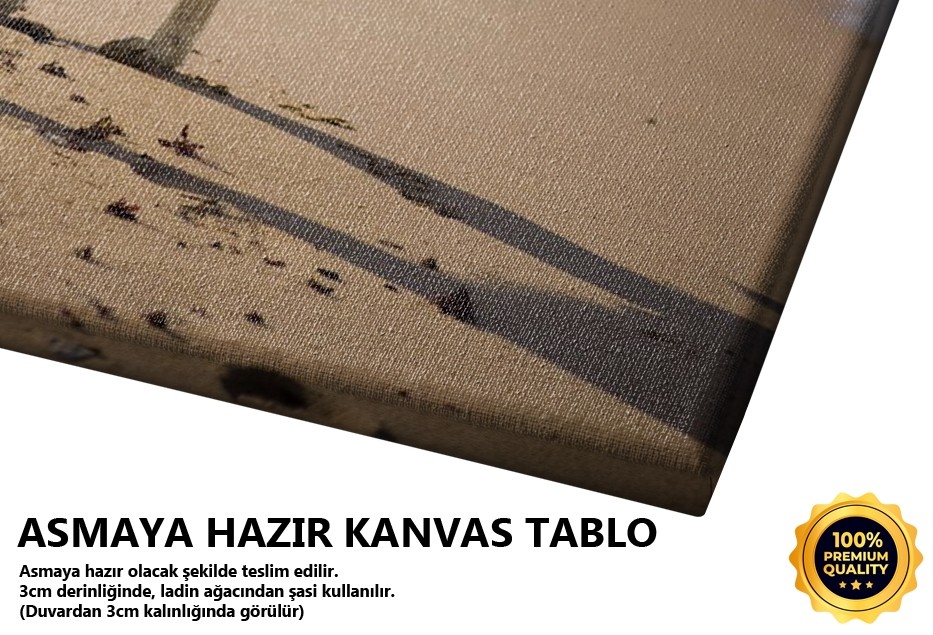 Deniz Kokusu (Ağva-istanbul) Tablo