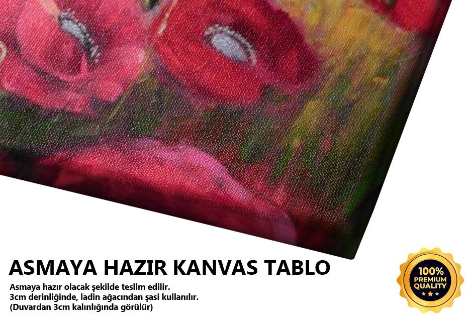 Gelincik Tarlası 8 Tablo