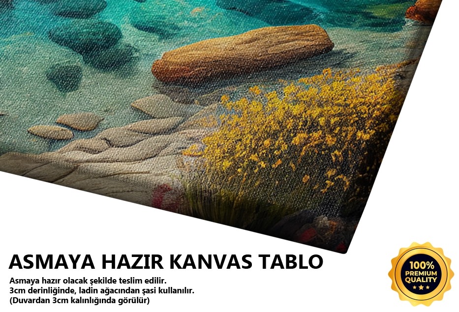 Turkuaz Kıyı ve Kayalıklar