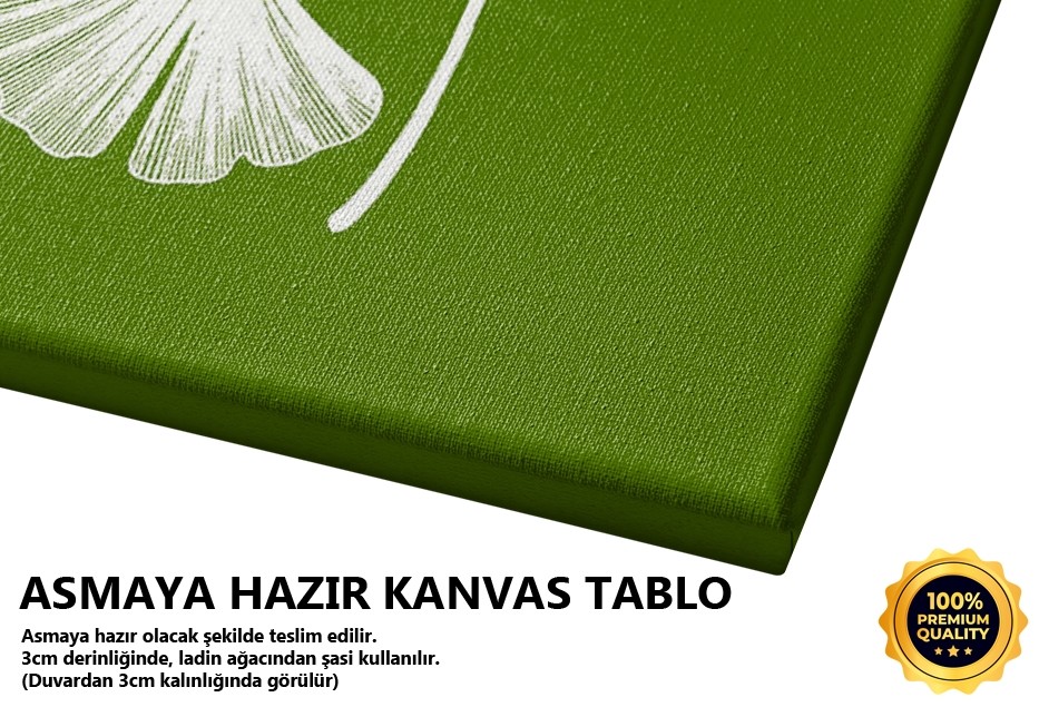 Beyaz Çiçek Tablo