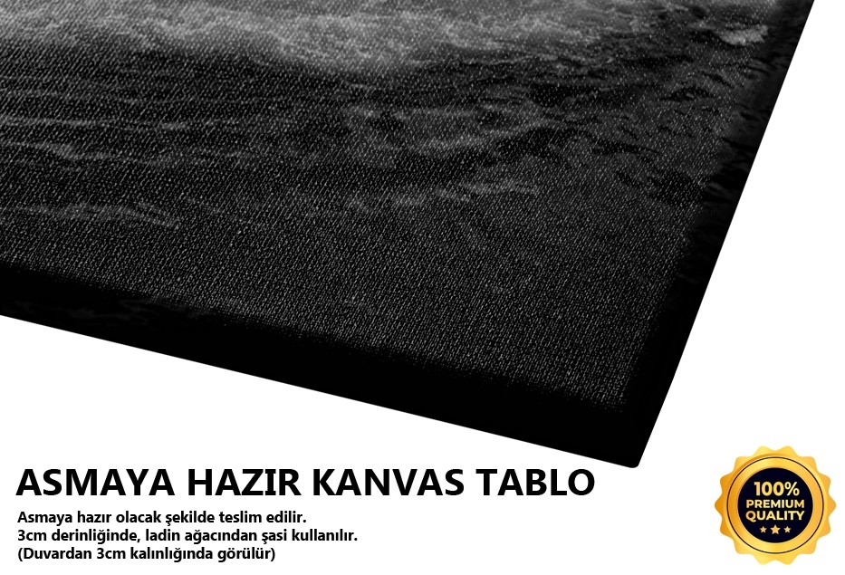 Oltada İstanbul (Galata Köprüsü-istanbul) Tablo