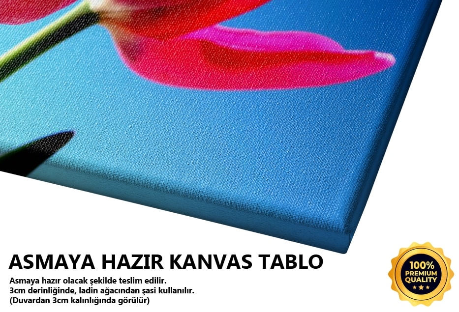 Rüzgarın Yönü -2008 Tablo