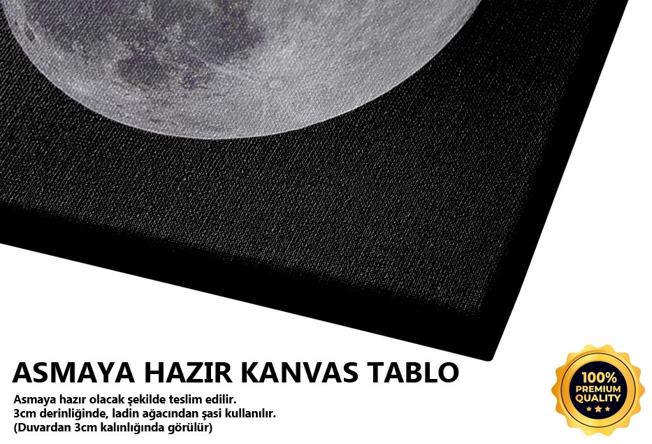 Dolunay İllüstrasyonu