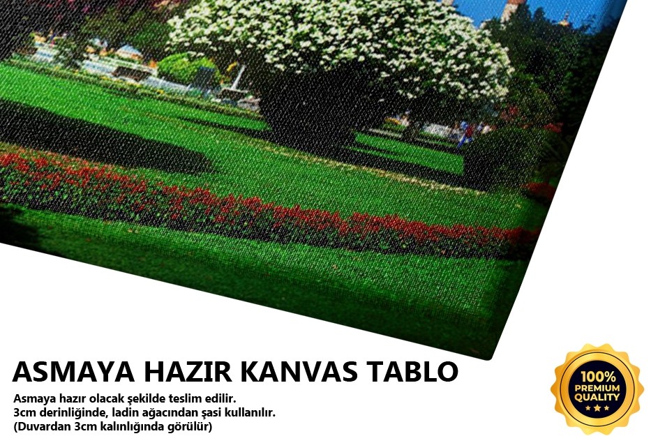Ayasofya Tablo