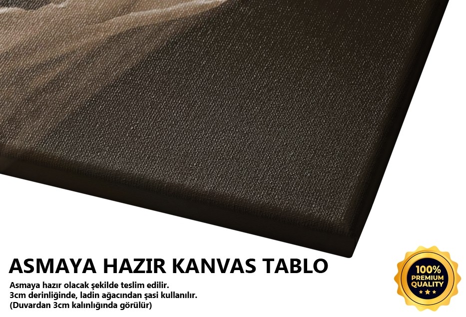 Lalenin Derdi II -2008 Tablo