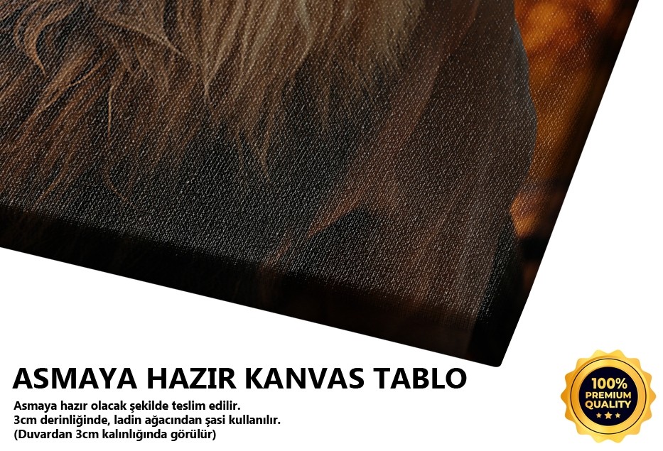 Kral Aslan Portresi