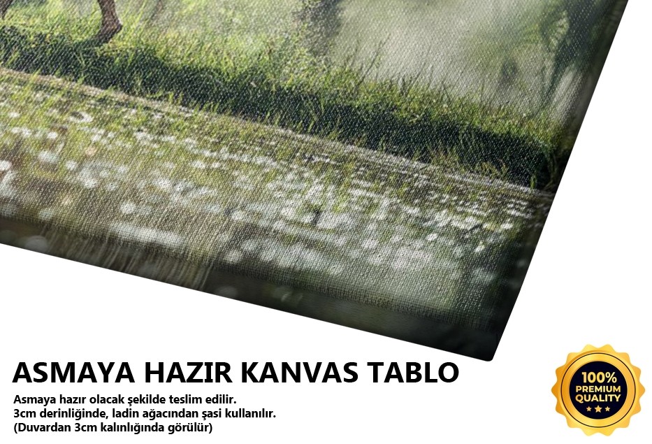 Sazlıklar Ve Yerli Halk Tablo