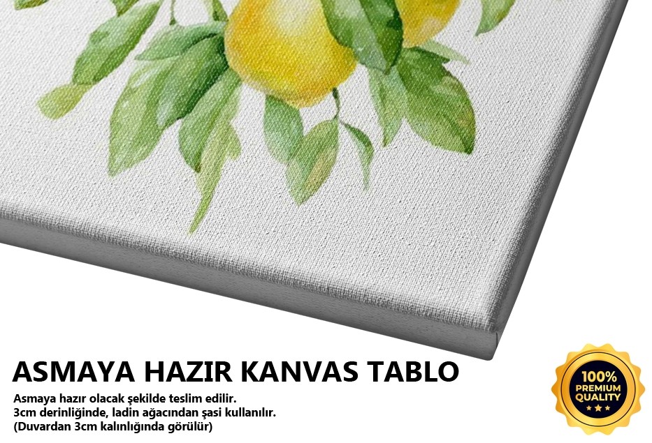 Dalda Limonlar Tablo