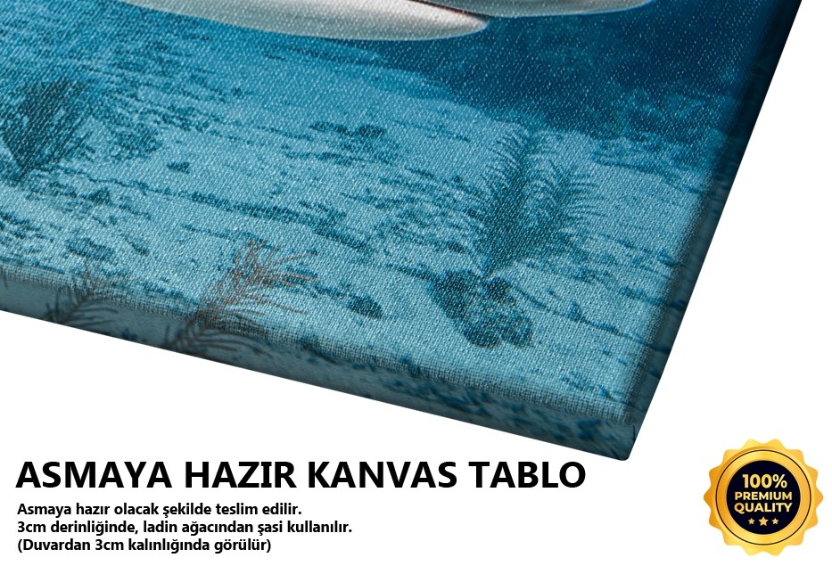 Köpekbalığı Sualtı Manzarası
