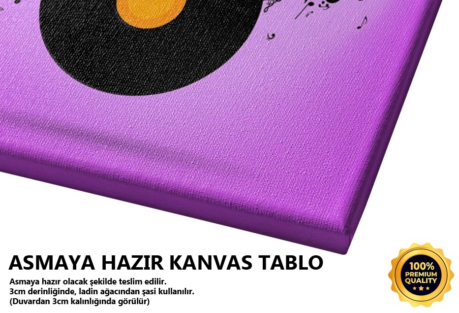 Müzik Ve Plak Tablo