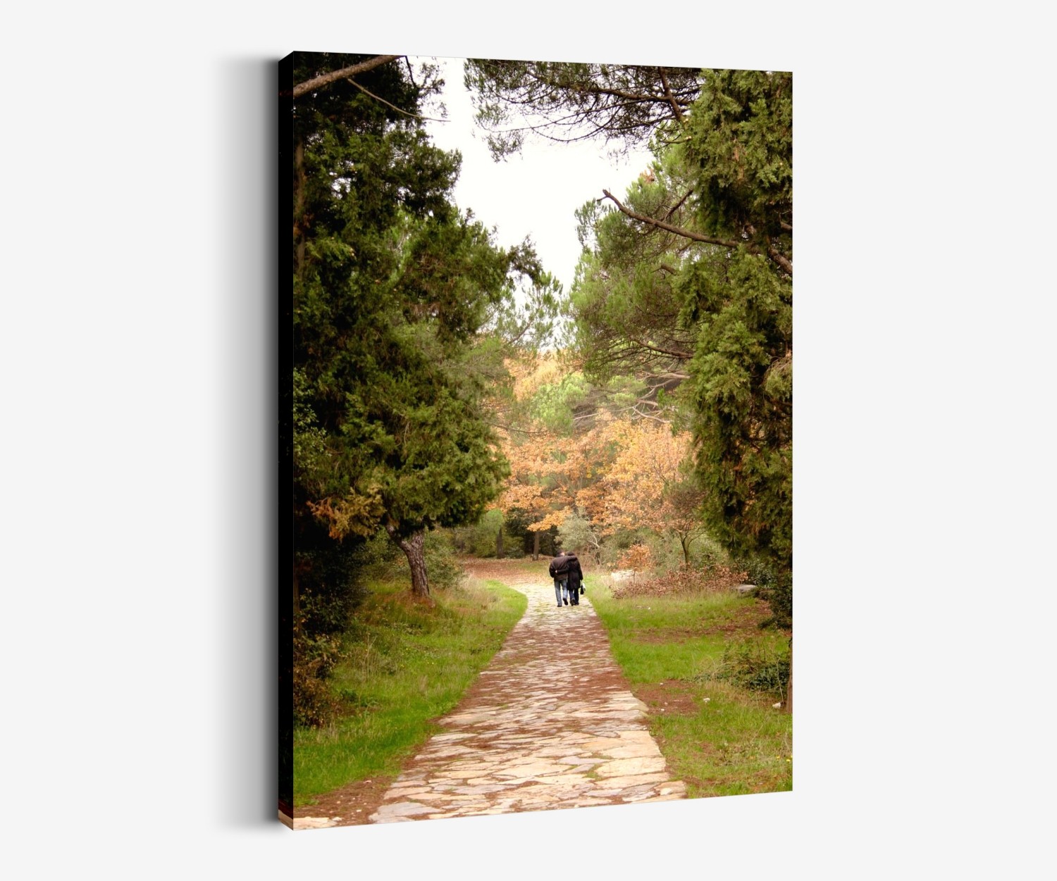 Sen Ve Ben (Çamlıca-istanbul) Tablo