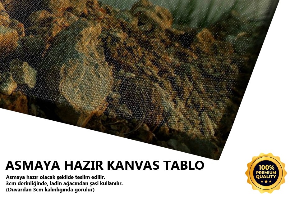 Yolunu Kaybenlere Tablo