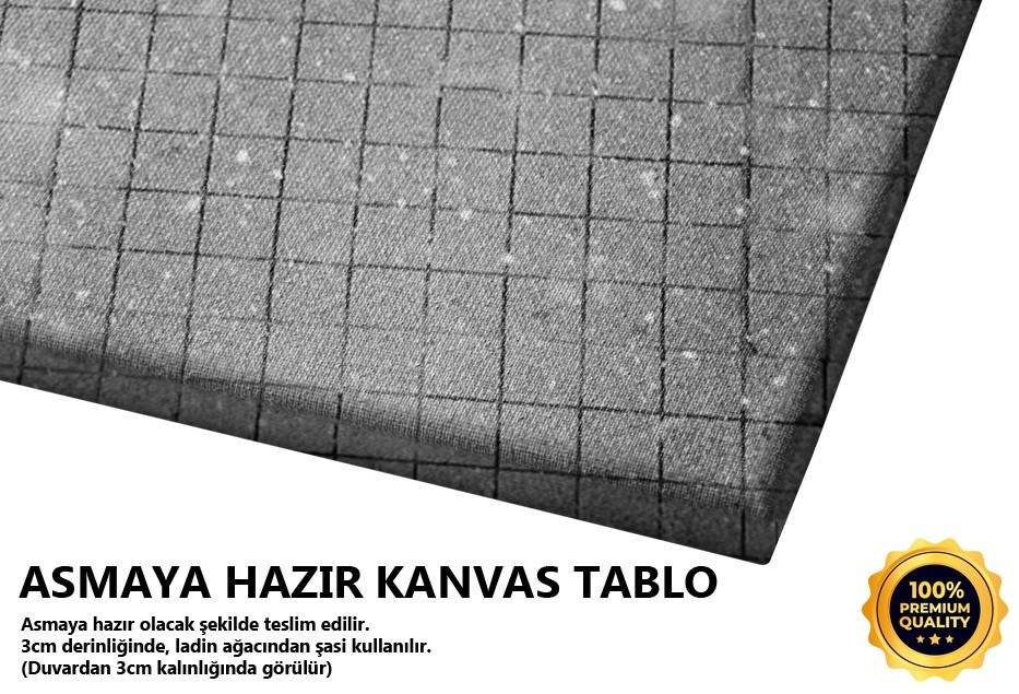Karda Yürüyüş Tablo