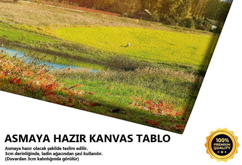 Sonbahar Manzarası Tablo