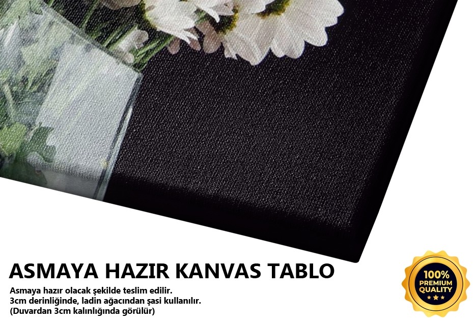 Papatya Korosu -2008 Tablo