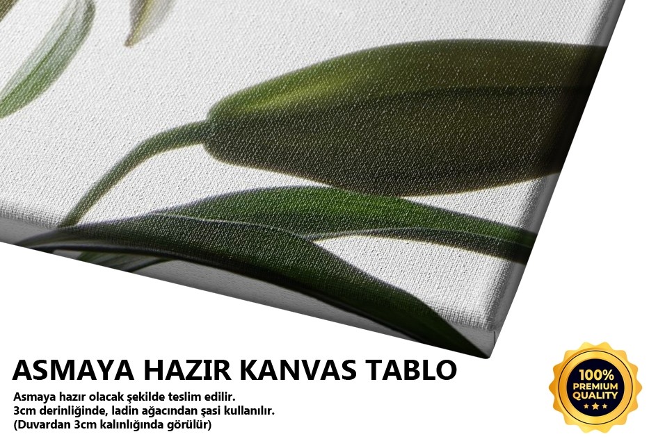 Bir Lilyum Rüya Görmüş II -2008 Tablo