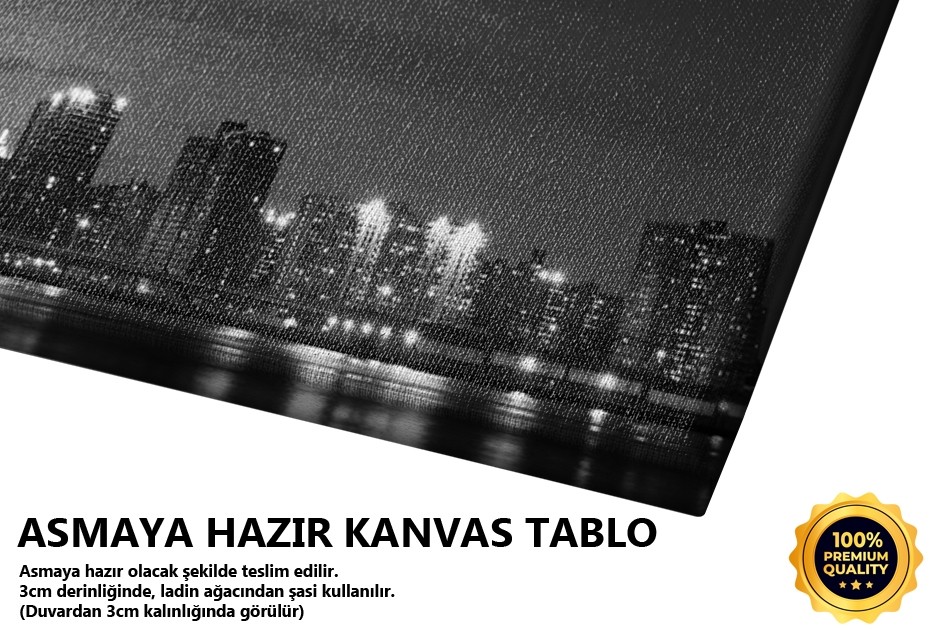 Manhattan Köprüsü Tablo