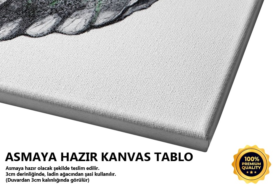 Salyangoz Karakalem Tablo
