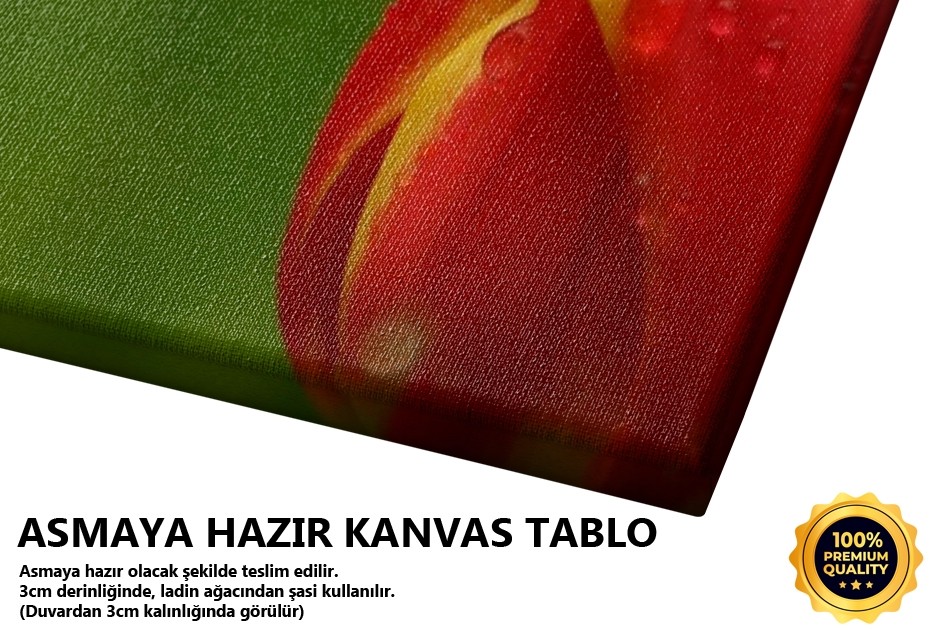 Eksik Olma Tablo