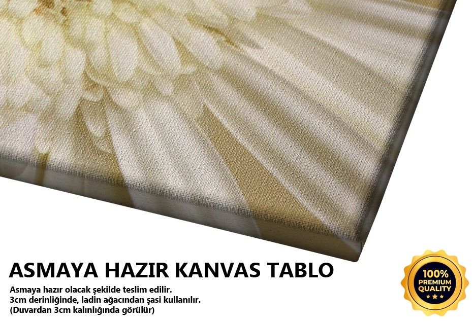 Merkez (Beyaz Gerbera) Tablo