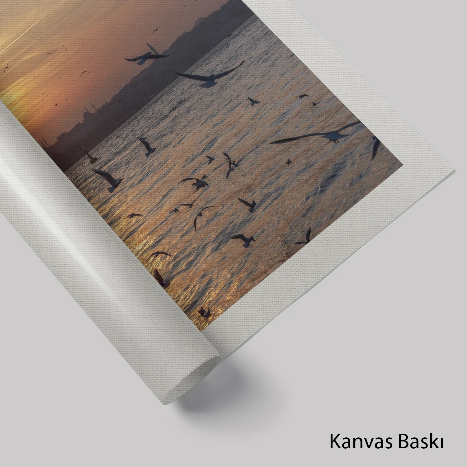 Martılar ve İstanbul