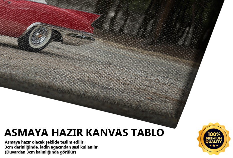 Kırmızı Cadillac Klasik Araba