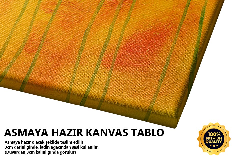 Dekoratif Çicek Tablo