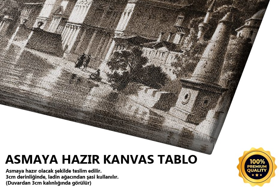 Sultan Selimin Sarayı Tablo