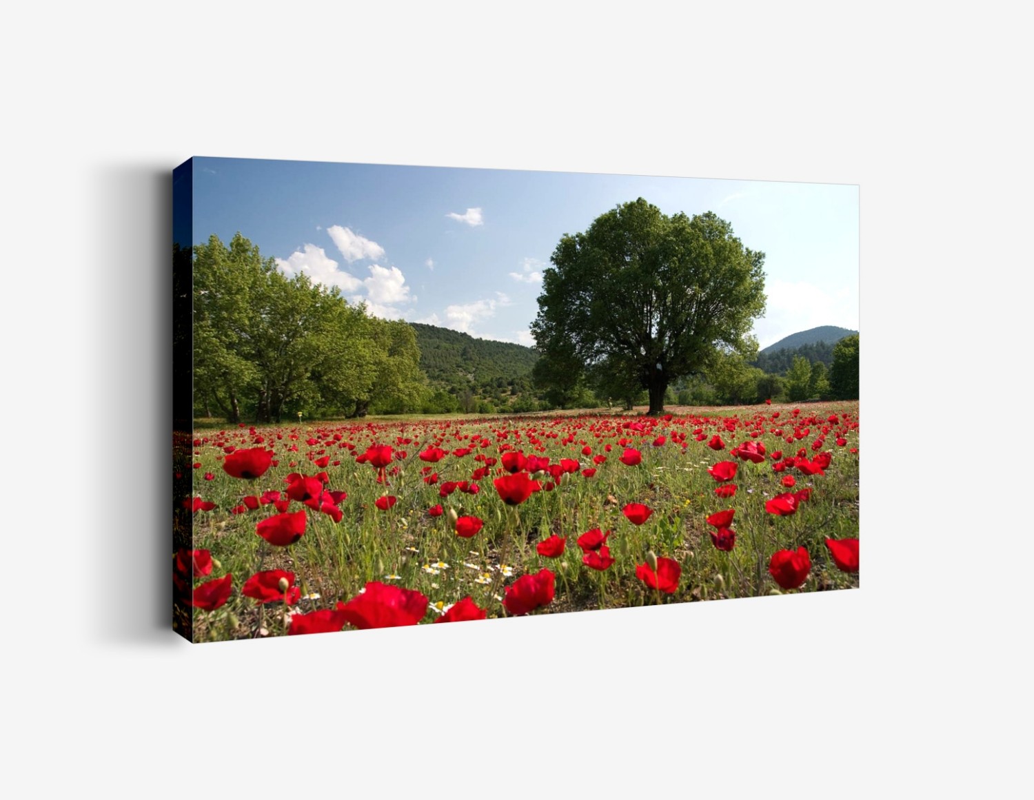 Dünyanın Merkezi (Beyşehir) Tablo
