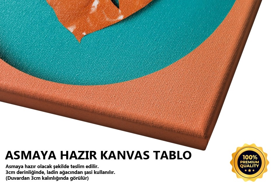 Devetabanı Tablo