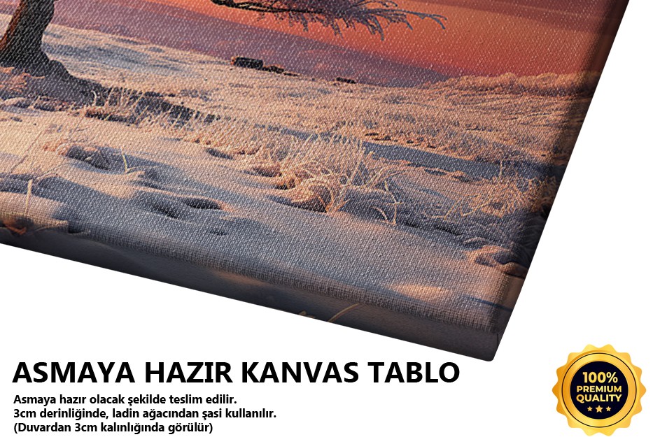 Kış Günü Gün Batımı Manzarası