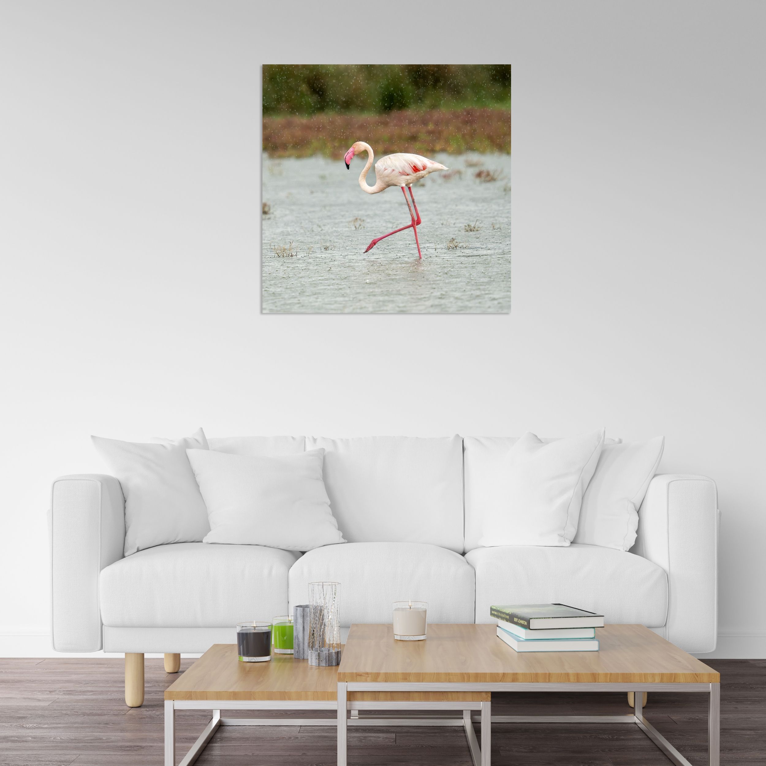 Yağmurda Flamingo