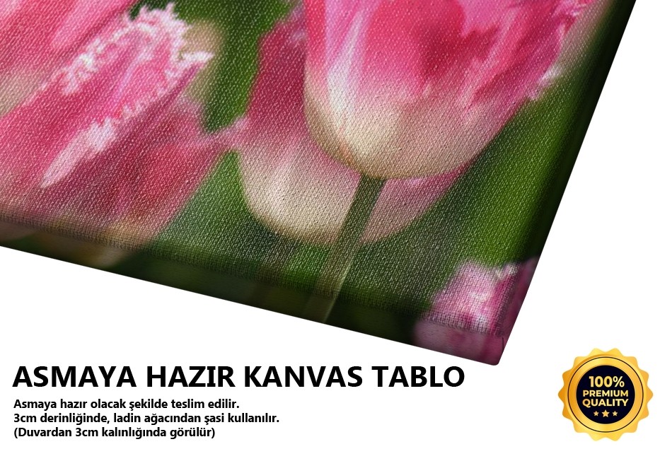 Pembe Laleler Tablo