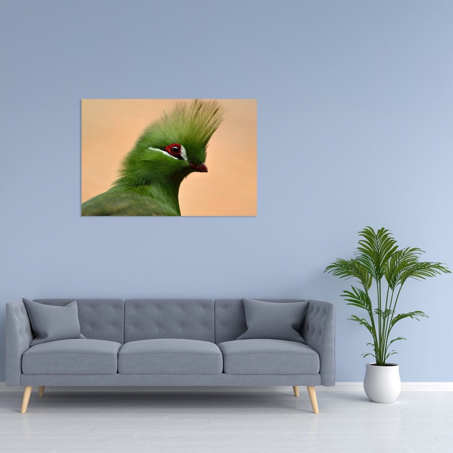 Yeşil Turaco Tablo