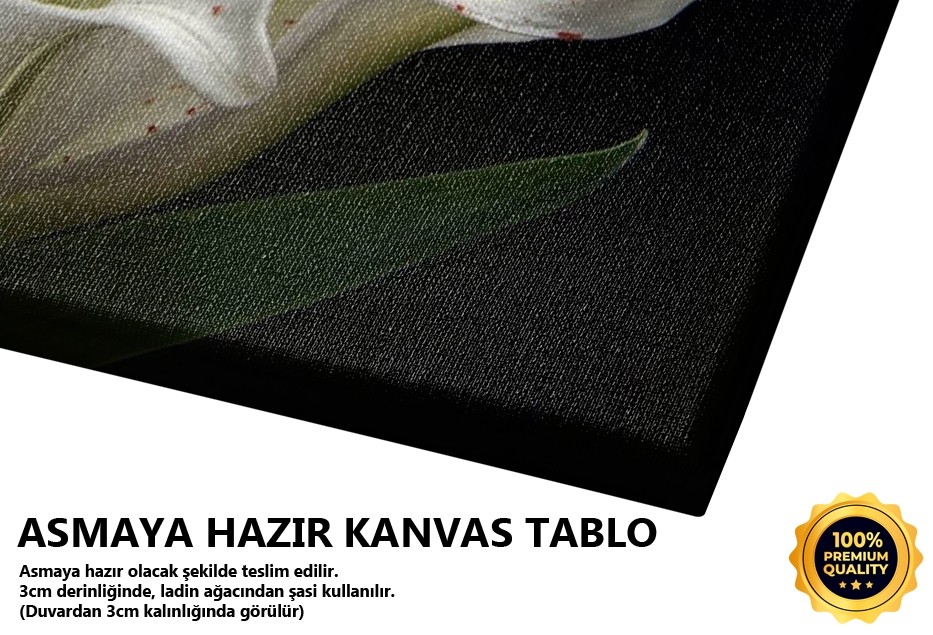 Lilyumun Rüyası II -2008 Tablo