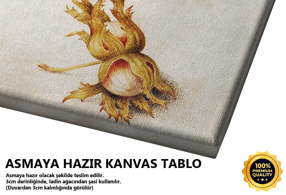 Elma Ve Fındık Tablo