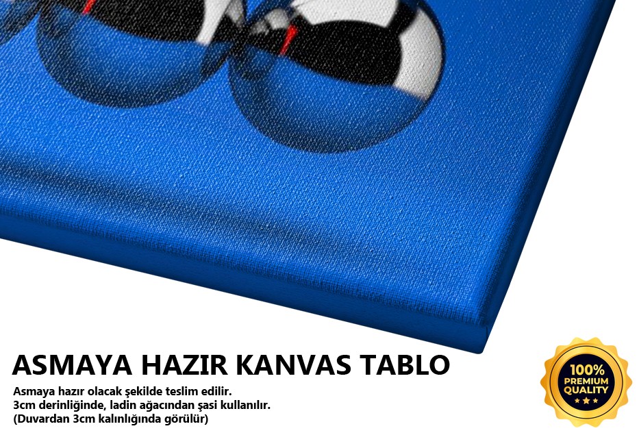 Newton Beşiği Tablo