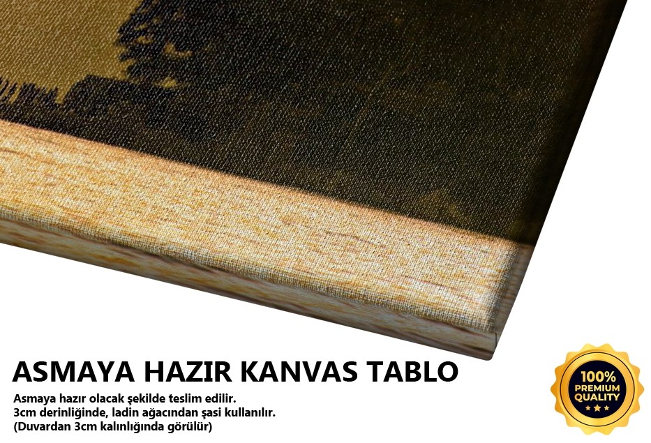 Akyaka - Gökova Körfezi Tablo