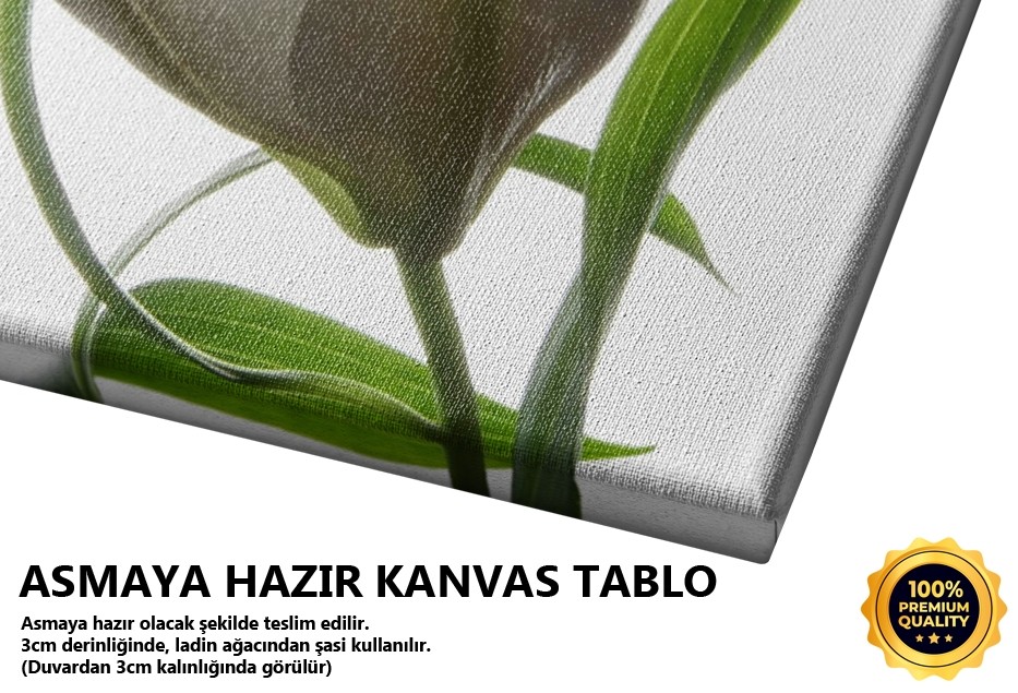 Bir Lilyum Rüya Görmüş III -2008 Tablo