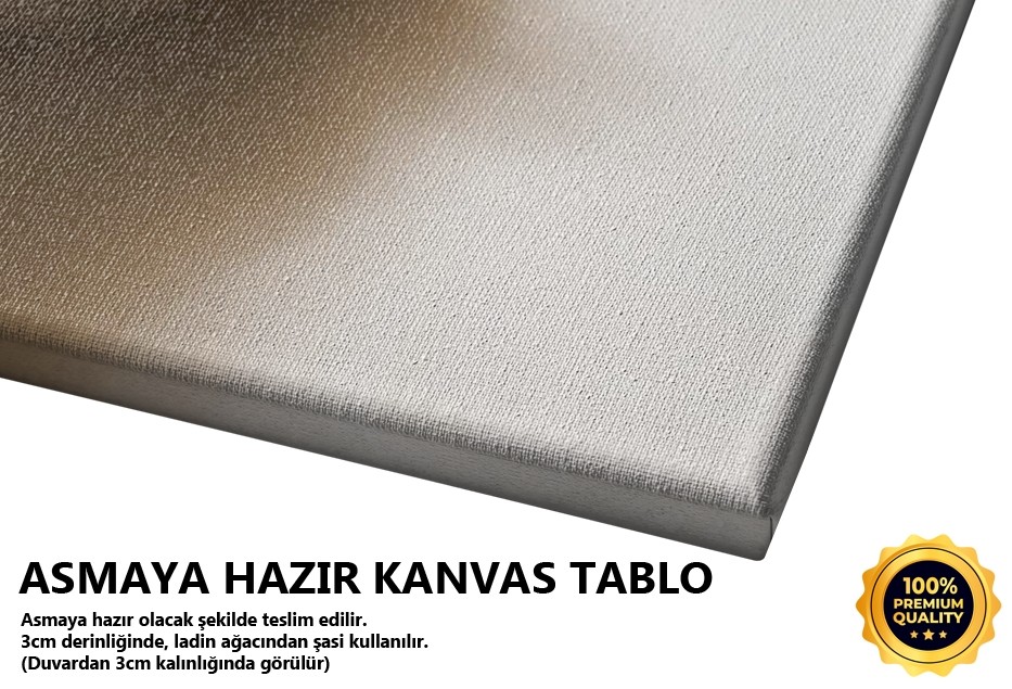 Eskimek II-2006 Tablo