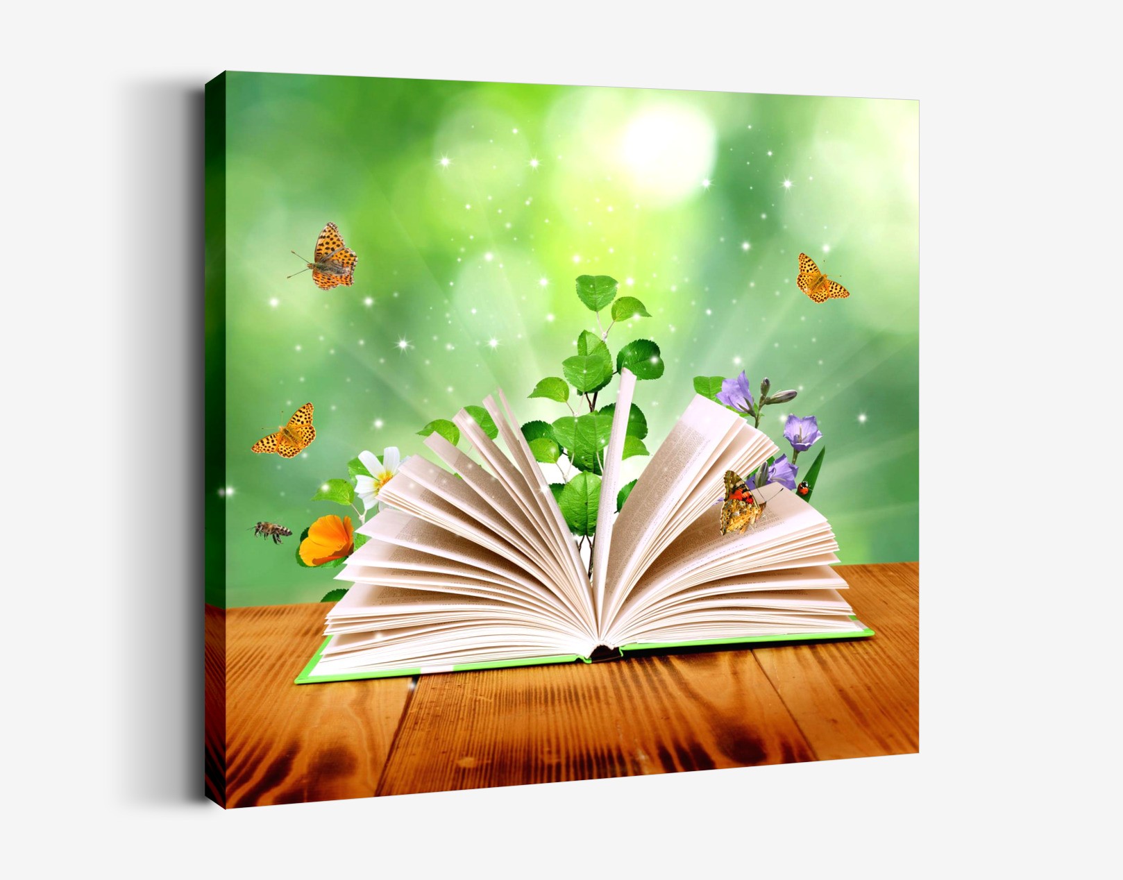 Kitap Tablo